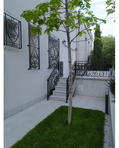 Barandilla de forja ref. 300026
