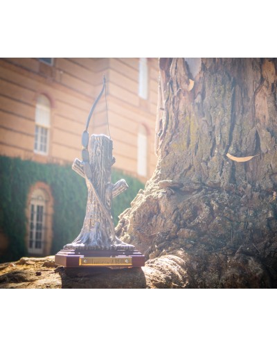 Trofeo de tiro con arco ref. 101181 - 8