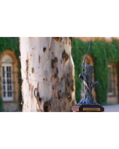 Trofeo de tiro con arco ref. 101181 - 11