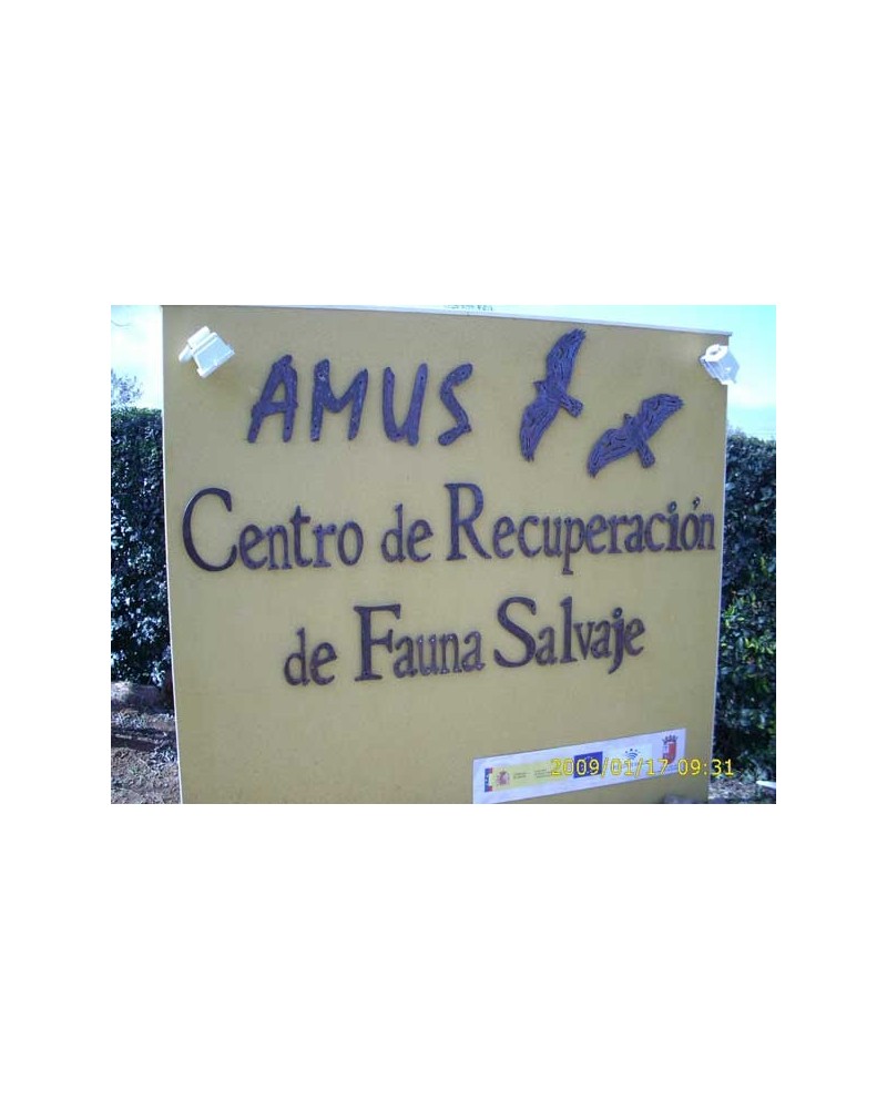 composicion de letras en forja ref.MAY6006