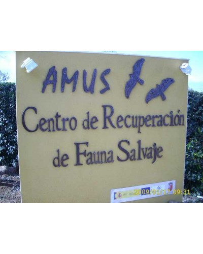 composicion de letras en forja ref.MAY6006